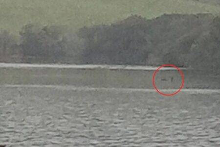 New picture shows ‘clearest picture of Loch Ness monster yet’