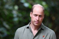 Prince William unveils bold new plan for future of the monarchy in fresh vow to the public