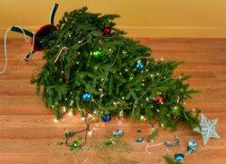 Putting up your tree before Christmas Day ruins the festive season