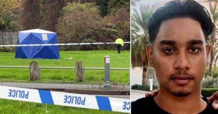 Two boys aged 12 arrested after man stabbed to death in the street