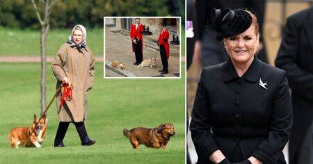 Sarah Ferguson says the Queen’s corgi grieved her death