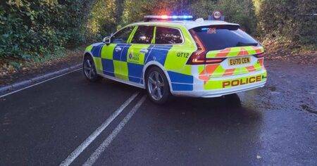 Boy killed and another child injured after car crashes into them