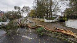 Storm Debi: Thunderstorm warning in place for parts of England