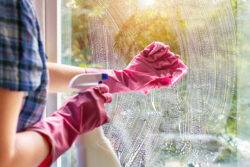 Cleaning mould off your windows? Don’t make this common mistake