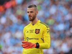 Alan Shearer urges Newcastle United to sign former Manchester United goalkeeper David de Gea