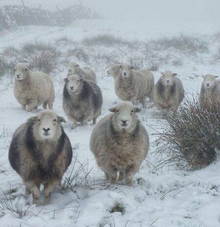 Cold snap continues with snow and ice weather warnings covering most of the UK