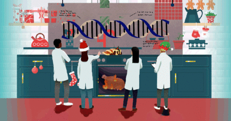 How to make the perfect Christmas feast… according to science