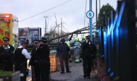 Woman trapped by fallen tree as Storm Henk reaches winds of 100mph