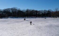 Nearly 90 dead after fierce winter storms strike US