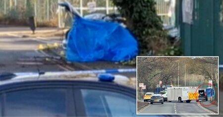 Boy, 17, killed after car crashes into tree in police chase