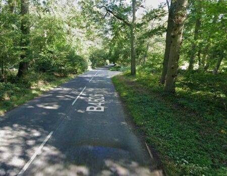 Woman, 87, dies after hitting fallen tree reported to police 90 minutes earlier