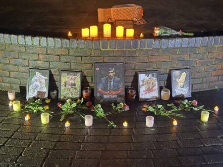 Candlelit vigil held for euthanised XL Bully dogs as ban comes into force