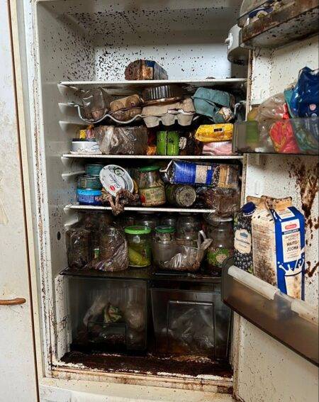 Extreme cleaner reveals worst fridge she has ever seen containing four-year-old food