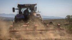 Catalonia declares state of emergency as region faces worst ever drought