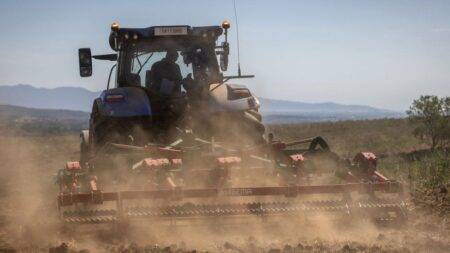 Catalonia declares state of emergency as region faces worst ever drought