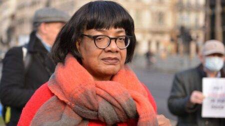 Tory donor's Diane Abbott comments not 'race-based', says senior minister