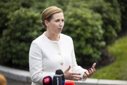 Polish man jailed for four months for punching Danish PM