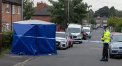 Woman dead and girl, 17, fighting for life after triple stabbing