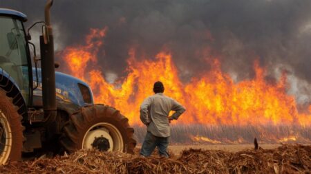 Brazil says criminals likely set São Paulo fires