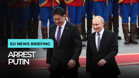 Mongolia declines to arrest Vladimir Putin during his visit despite ICC warrant