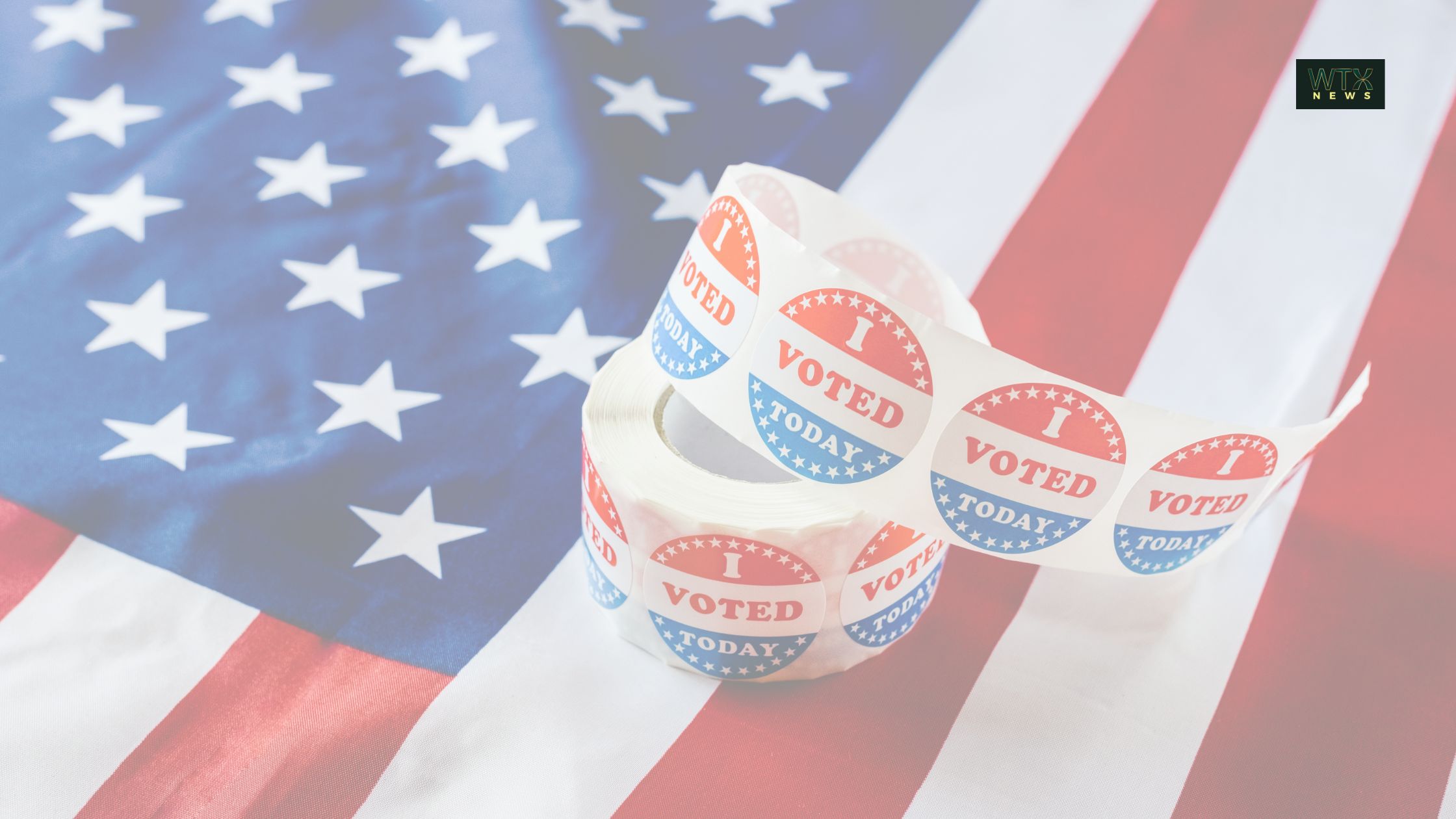 US elections 2024: what is early voting, and who can do it?