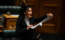 Māori Haka halts NZ Parliament in protest over Treaty Bill 