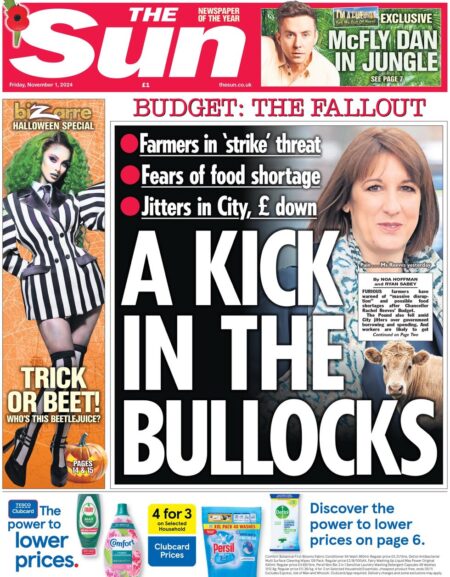 The Sun – A kick in the bullocks 